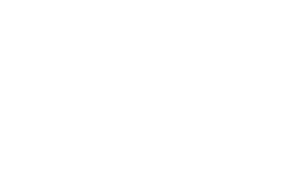 access bars logo praticien