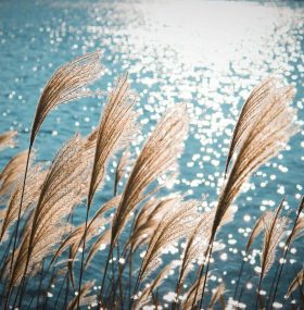 hypnose quantique régressive eau