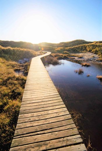 hypnose régressive voyage chemin de vie nature