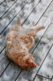 état d'hypnose se détendre