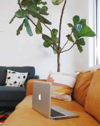 hypnose vies anterieures en ligne à distance barbara monori